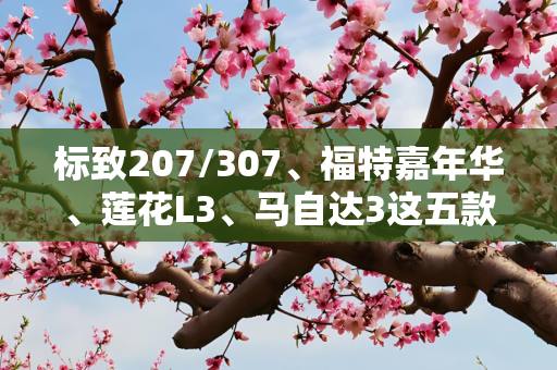 标致207/307、福特嘉年华、莲花L3、马自达3这五款三厢的性价比