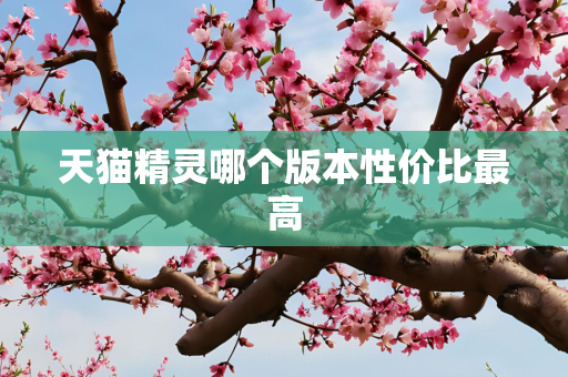 天猫精灵哪个版本性价比最高