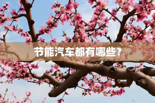 节能汽车都有哪些？