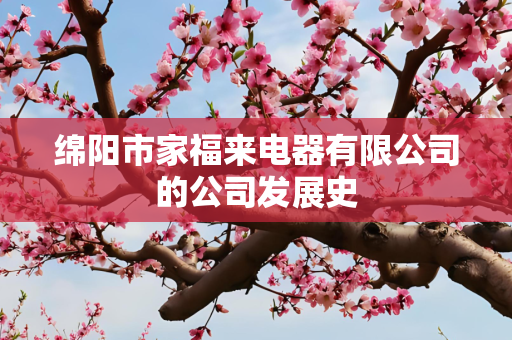 绵阳市家福来电器有限公司的公司发展史