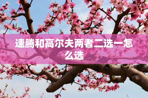 速腾和高尔夫两者二选一怎么选