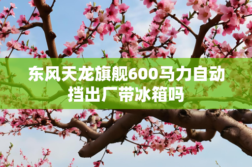 东风天龙旗舰600马力自动挡出厂带冰箱吗