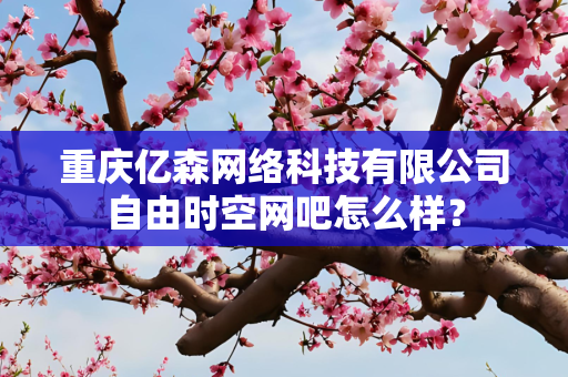 重庆亿森网络科技有限公司自由时空网吧怎么样？