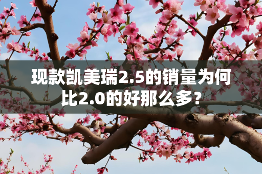 现款凯美瑞2.5的销量为何比2.0的好那么多？