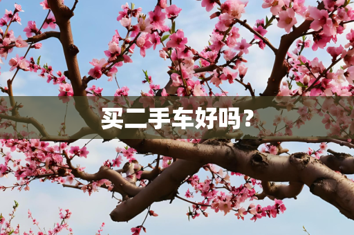 买二手车好吗？