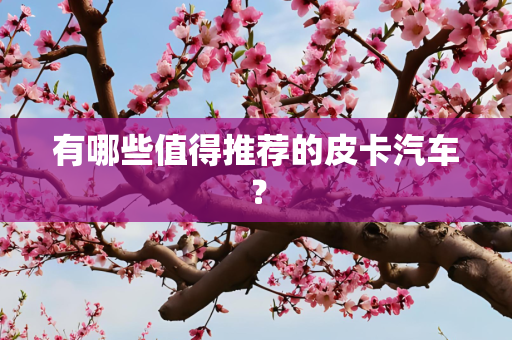 国际 第272页