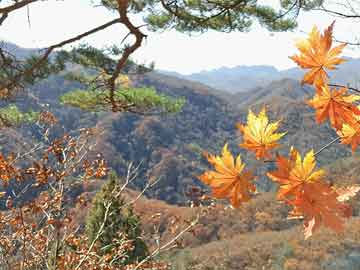 秦皇岛野生动物园门票价格+交通信息